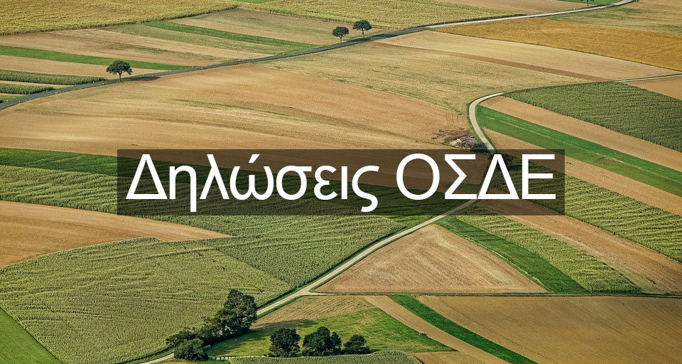 50 ΚΥΔ Θεσσαλίας: Αν δεν ληφθούν άμεσα μέτρα, οι δηλώσεις ΟΣΔΕ δεν θα γίνουν φέτος
