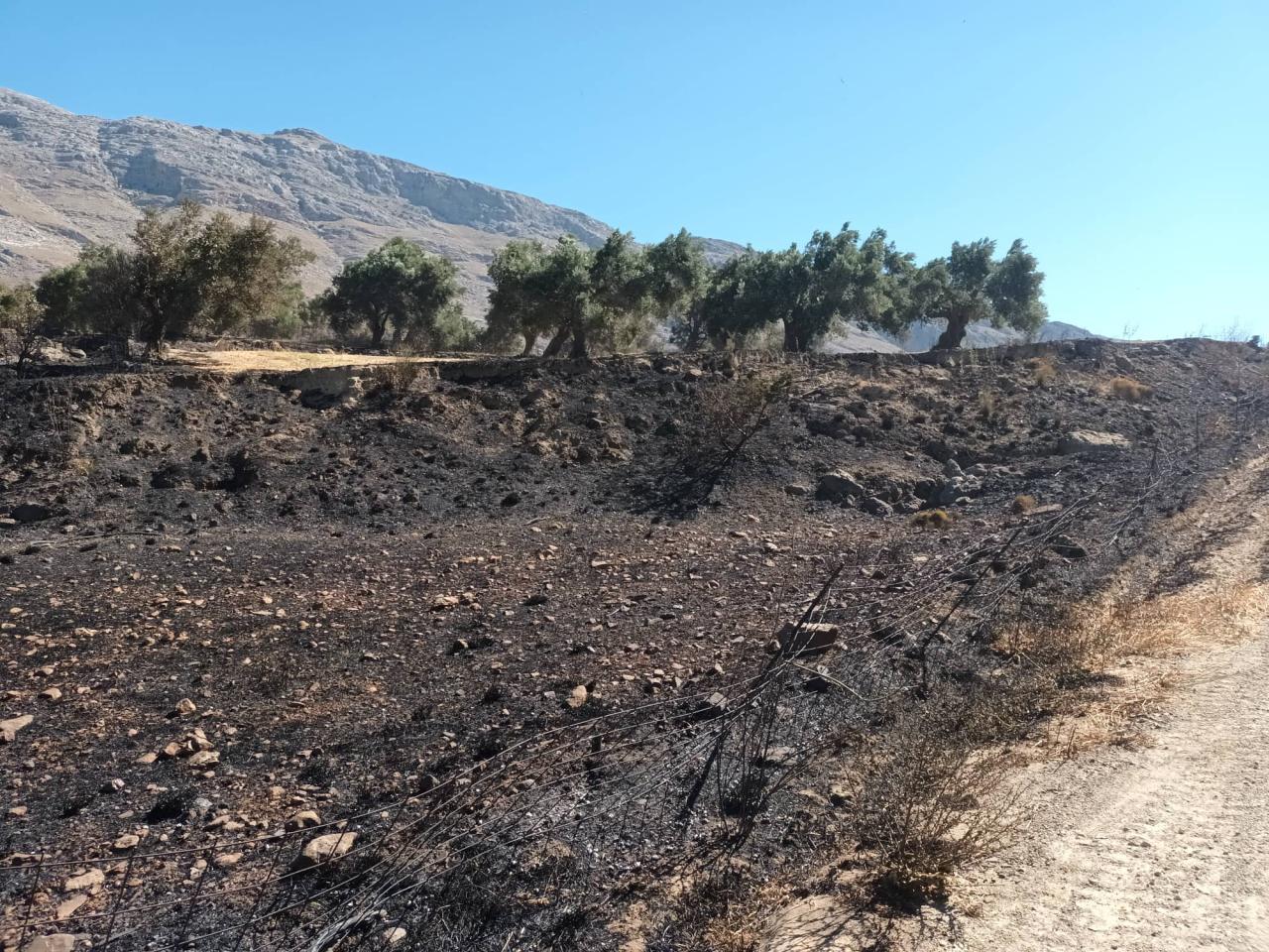 Καταβλήθηκαν 1,2 εκατ. ευρώ σε 441 δικαιούχους για τις ζημιές από πυρκαγιές του 2022