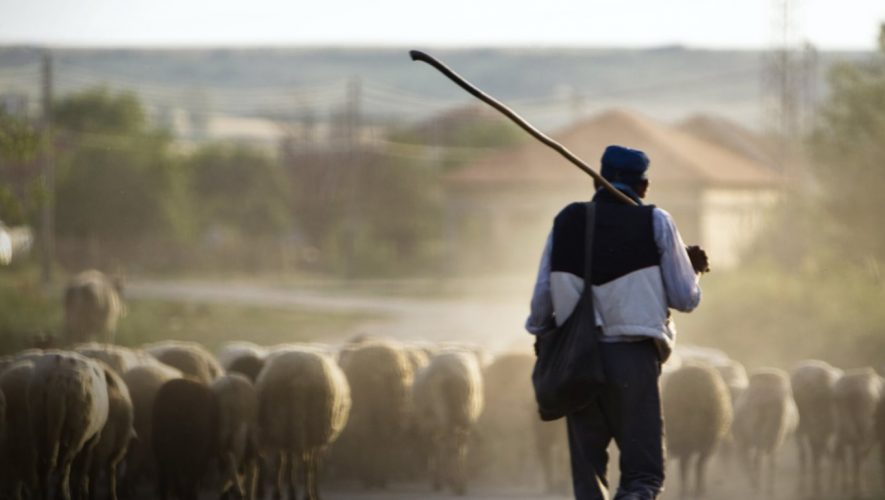 Κάλεσμα από τον Κτηνοτροφικό Σύλλογο Αμαρίου