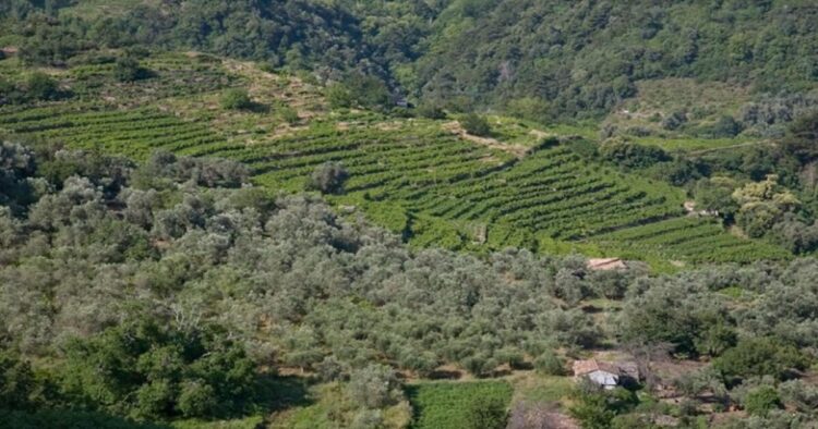 Στον Υπουργό όλοι μαζί οι φορείς για να σώσουν τις περιουσίες του κόσμου