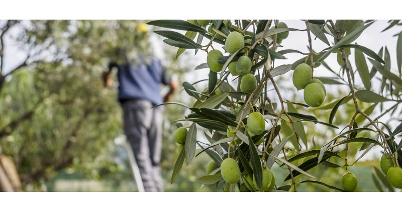 Σχεδόν 90.000 αιτήσεις για εργαζομένους από τρίτες χώρες σε έναν μήνα – Διπλασιάστηκαν οι αιτήσεις για εξαρτημένη εργασία