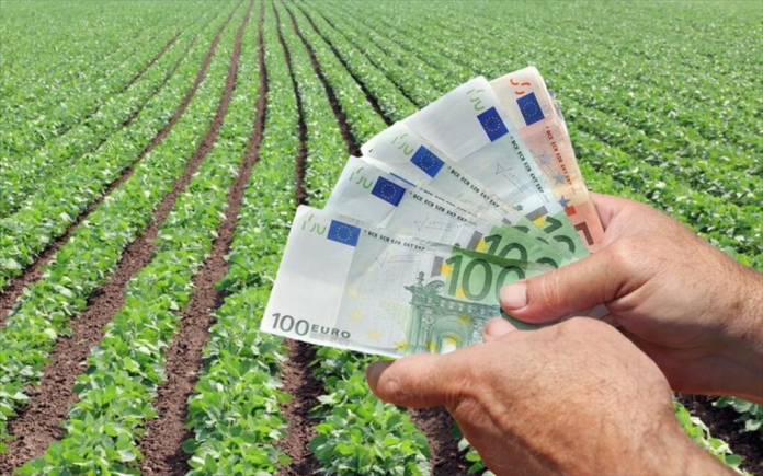 «Φέτος δεν θα γίνει η πληρωμή του Οκτώβρη, δεν ξέρω αν θα γίνει ούτε τον Νοέμβρη» – Αδιέξοδο με τις αγροτικές επιδοτήσεις στα Χανιά και σε όλη τη χώρα