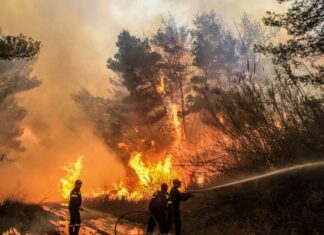 ΠΟΓΕΔΥ: Αλλαγή του συστήματος δασοπυρόσβεσης εδώ και τώρα