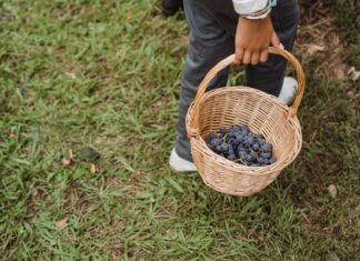 Νέοι αγρότες και ηγεσία του ΥΠΑΑΤ με τα ίδια… προσόντα