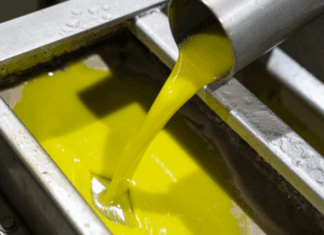 Ελαιόλαδο & ποιότητα: καλές πρακτικές σε όλα τα στάδια