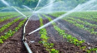 Η Νέα Αριστερά στο πλευρό των αγροτών: Όχι στην εγκατάλειψη της ελληνικής υπαίθρου