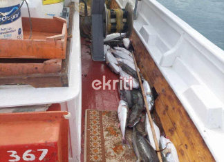 Ώρα υπογραφών για το λαγόψαρο – Στην Αθήνα οι αλιείς για την αποζημίωση