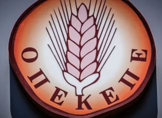 ΑΓΡΟΤΙΚΕΣ ΠΛΗΡΩΜΕΣ για Σχέδια Βελτίωσης Αμπελώνων: Ξεμπλοκάρουν 250 εκατ., εκκρεμότητες σε Νέους Αγρότες