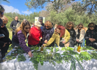 «Χανιά δεν είναι μόνο αντηλιακό και πισίνα» – Ένας «ζωντανός ελαιώνας» στο Κολυμπάρι, βιώσιμος για τον παραγωγό και φιλόξενος για τον επισκέπτη