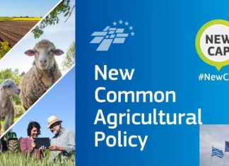 Νέα ΚΑΠ 2028-2034: Πρεμιέρα διαβούλευσης στην Αθήνα με βαριά «σκιά» για επιδοτήσεις και κτηνοτροφία