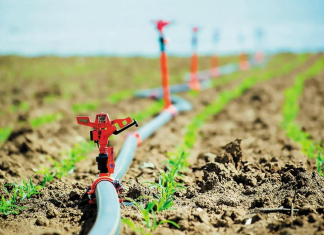 Δήμος Ηρακλείου: Τί προβλέπει ο νέος κανονισμός άρδευσης που ενέκρινε η Δημοτική Επιτροπή