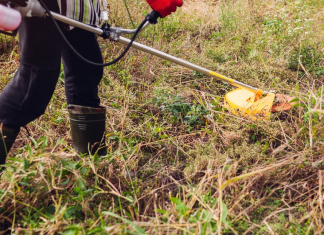 Δημοσιεύθηκε η ΚΥΑ για τον καθαρισμό οικοπέδων