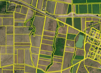 Ψάχνουμε το δέντρο αλλά… όλα θα είναι δάσος: Έρχεται ανάρτηση χωρίς τροπολογία για το Κτηματολόγιο στα Χανιά που βαφτίζει δημόσια όλα τα δασικά