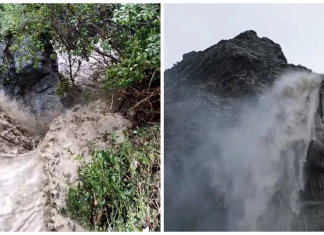 Λασίθι: Η «χρυσή» βροχή έσωσε την ελαιοκομία – Η φύση «ξύπνησε» μετά από τρία χρόνια ξηρασίας!