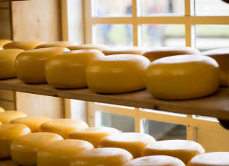 Αποζημιώσεις έως 8 εκατ. ευρώ για τυροκομικές επιχειρήσεις στη Λέσβο λόγω αφθώδους πυρετού