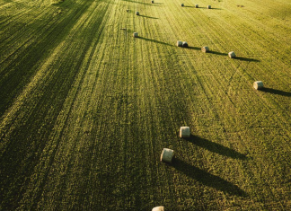 Χάος στο Κτηματολόγιο Ηρακλείου: Σε «ομηρία» χιλιάδες περιουσίες – Εκκρεμότητες που «λιμνάζουν» πάνω από χρόνο!