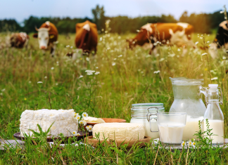 «Συμμετοχή Π.Ο.ΓΕ.Δ.Υ – Π.Ε.Γ.Δ.Υ – Π.Ε.Κ.Δ.Υ στην εναρκτήρια συνάντηση για την διαβούλευση της νέας ΚΑΠ 2028-2034»