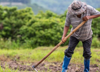 Ψηφιακό δελτίο αποστολής: Ποιους «πιάνει», ποιοι εξαιρούνται – Tα «τσουχτερά» πρόστιμα