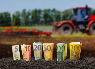 Γ. Περουλάκης: «Η μεταφορά του ΟΠΕΚΕΠΕ στην ΑΑΔΕ και η αύξηση των ελέγχων έφερε προβληματικές πληρωμές»