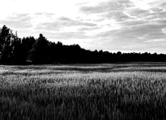 «Βράζει» η ύπαιθρος: Το Προεδρικό Διάταγμα που μετατρέπει οικόπεδα σε χωράφια – Θύελλα αντιδράσεων στην Κρήτη