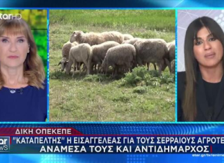 Δίκη ΟΠΕΚΕΠΕ: Καταπέλτης η εισαγγελέας για τους Σερραίους αγρότες