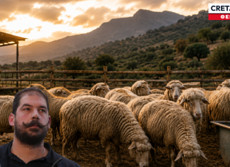 «Μας τελειώνουν»: Οργή κτηνοτρόφων στην Κρήτη για το «πάγωμα» των βιολογικών επιδοτήσεων!