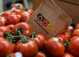 Ιεράπετρα: Λιγότερα κηπευτικά, αλλά «χρυσές» τιμές – Η καλύτερη χρονιά της τελευταίας δεκαετίας για πολλούς παραγωγούς