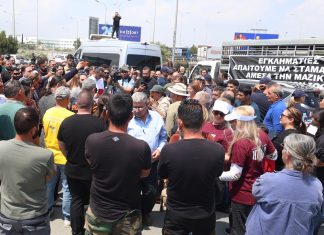 Κακός χαμός στην Κύπρο: Κτηνοτρόφος επιτέθηκε και κλώτσησε λειτουργό των Κτηνιατρικών