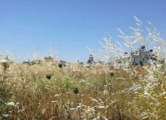Ο διαρκής κίνδυνος των ξερών χόρτων το καλοκαίρι