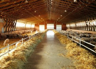 FAO: Απειλή για την επισιτιστική ασφάλεια οι ασθένειες των ζώων