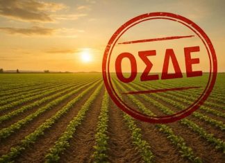 Νέα καθυστέρηση στο ΟΣΔΕ 2026 – Προς τις 22 Ιουνίου η έναρξη των δηλώσεων – Στο επίκεντρο η διασύνδεση με το Κτηματολόγιο