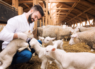 FAO: Πώς θα αντιμετωπιστεί η μικροβιακή αντοχή στην κτηνοτροφία