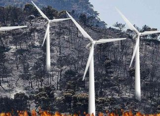 Πολάκης: «Ενδείξεις εμπρησμού και στο βάθος… ανεμογεννήτριες»