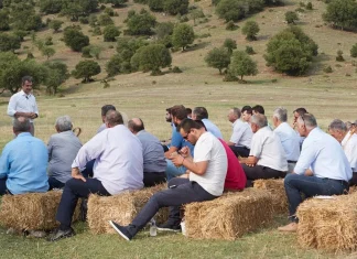 Άνοδος για τη ΝΔ στις δημοσκοπήσεις μετά τις πληρωμές στον αγροτικό κόσμο