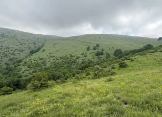Από τα θερινά λιβάδια στην εγκατάλειψη: πώς χάνουμε τις υπηρεσίες των ορεινών μας οικοσυστημάτων