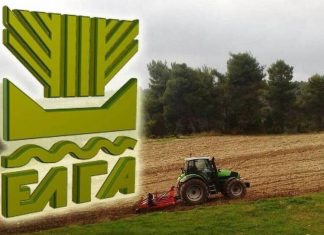 Ο ΥφΑΑΤ, Γιάννης Ανδριανός και κλιμάκιο του ΕΛΓΑ στις πληγείσες περιοχές της Κρήτης – Η διαδικασία αποτίμησης ζημιών