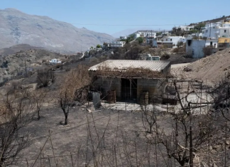 Αγώνας δρόμου για την καταγραφή των ζημιών στις πυρόπληκτες περιοχές του Δήμου Αγίου Βασιλείου