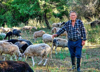 Αγρότες 2026: Επιδότηση έως 70% για επαγγελματικό όχημα – Ποιοι δικαιούνται ΦΙΧ και τι πληρώνουν οι κτηνοτρόφοι