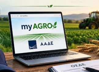 ΑΑΔΕ: Διεύρυνση των επαγγελματικών κλάδων για την υποβολή αιτήσεων Ενιαίας Ενίσχυσης 2026