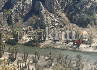 Παπασταύρου για Πρέβελη: «Το φοινικόδασος διασώθηκε σχεδόν στο σύνολό του» – Κάηκαν 3,5 από τα 30 στρέμματα