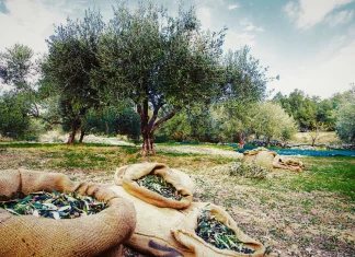 Κρήτη: Δύσκολος χειμώνας για την ενδοχώρα – Ακρίβεια, κόστος παραγωγής και ερήμωση «γονατίζουν» τα χωριά