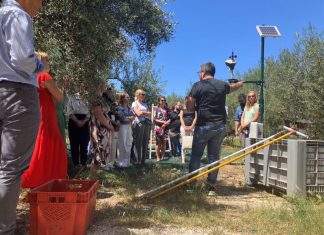 Σημαντικό εργαλείο για την ανάπτυξη της υπαίθρου ο ψηφιακός μετασχηματισμός της