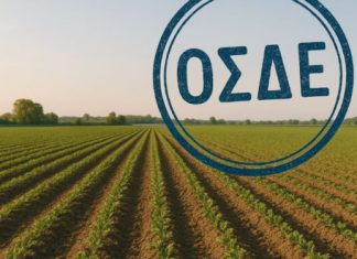 ΟΣΔΕ 2026 – ΑΓΡΟΤΕΣ: Προθεσμία 30 Οκτωβρίου, διορθώσεις έως 10 Νοεμβρίου και προκαταβολή βασικής ενίσχυσης – Τα 7 λάθη που κοστίζουν