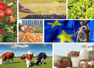Τις κομματικές κόντρες τις πληρώνει ο Έλληνας αγρότης