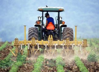 Γιατί 67.000 αγρότες εγκατέλειψαν το επάγγελμα – Τι θα συμβεί μετά το 2032